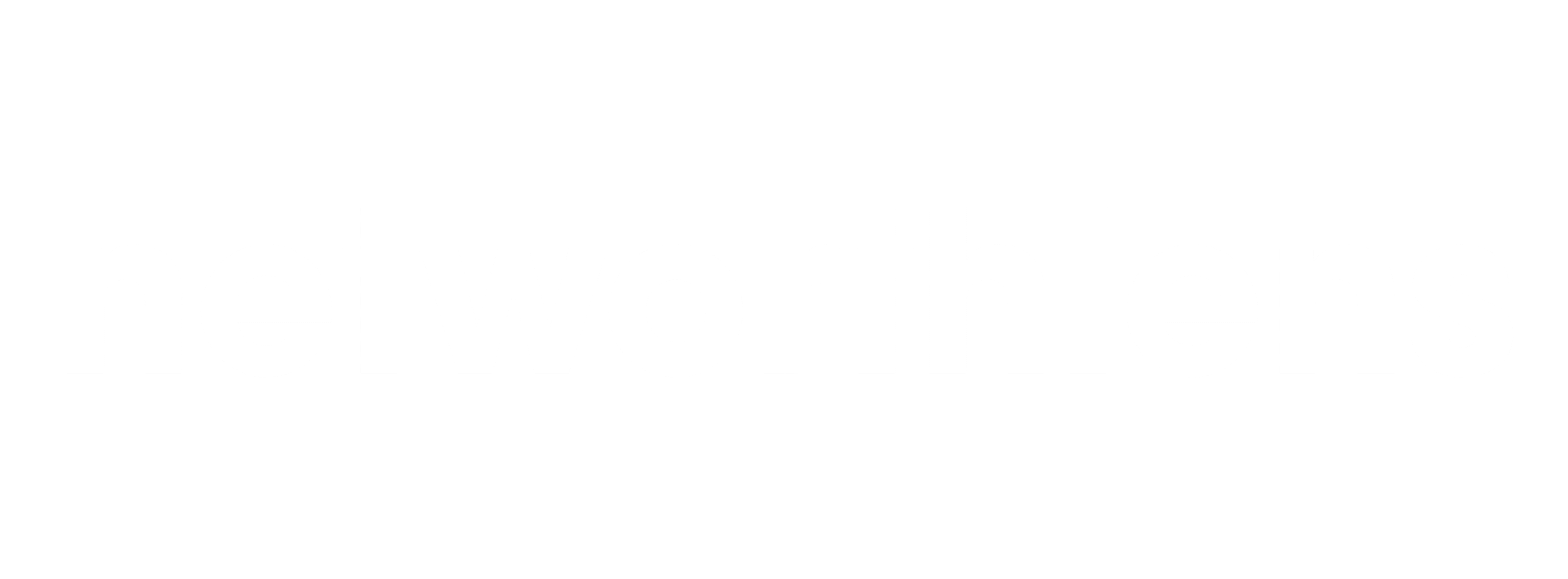 Networthlens
